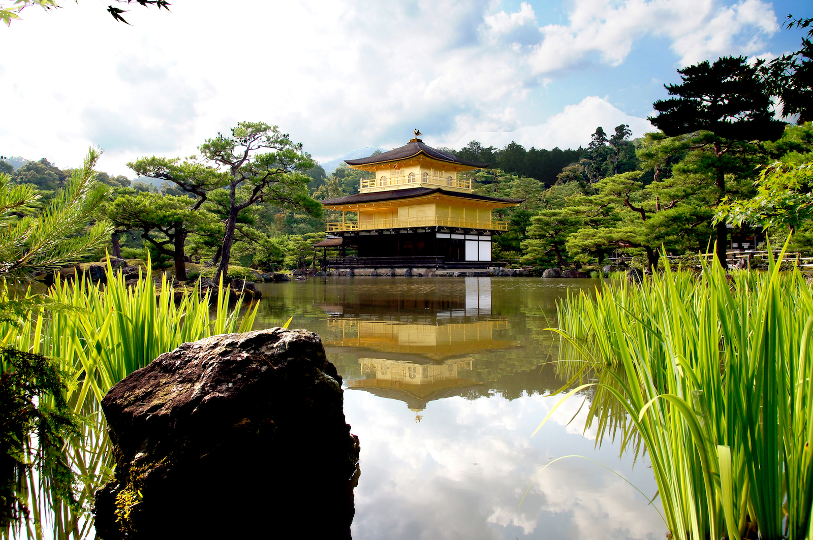 Goldener Tempel Kyoto